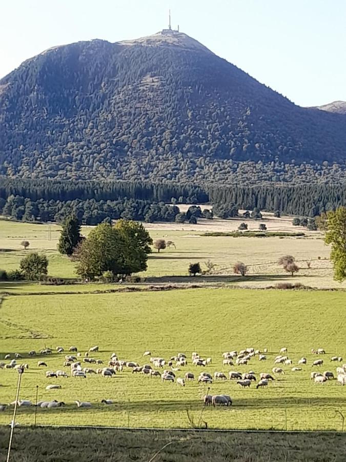 A 5 Mns Du Puy De Dome Avec Vue Imprenable Studio Rez De Jardin 24M2 Neuf A Laschamps Saint-Genes-Champanelle ภายนอก รูปภาพ